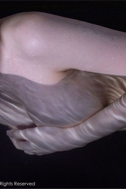 日韩国产精品自在线精品