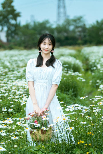 温德尔和怀尔德